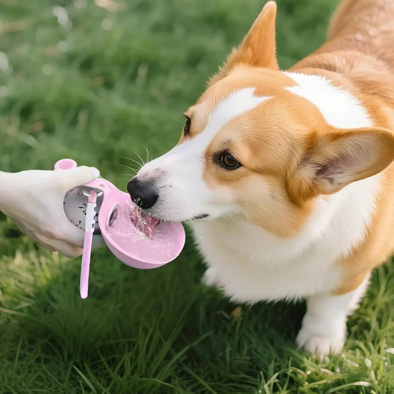 Portable Dog Water Bottle – Leakproof Travel Bottle with Foldable Bowl